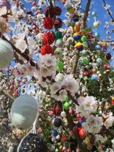 Read more about the article Pražydo…