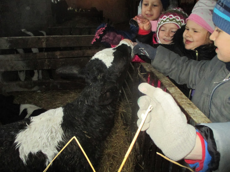 You are currently viewing „Liūtukų“ grupės edukacinė išvyką į pieno ūkį