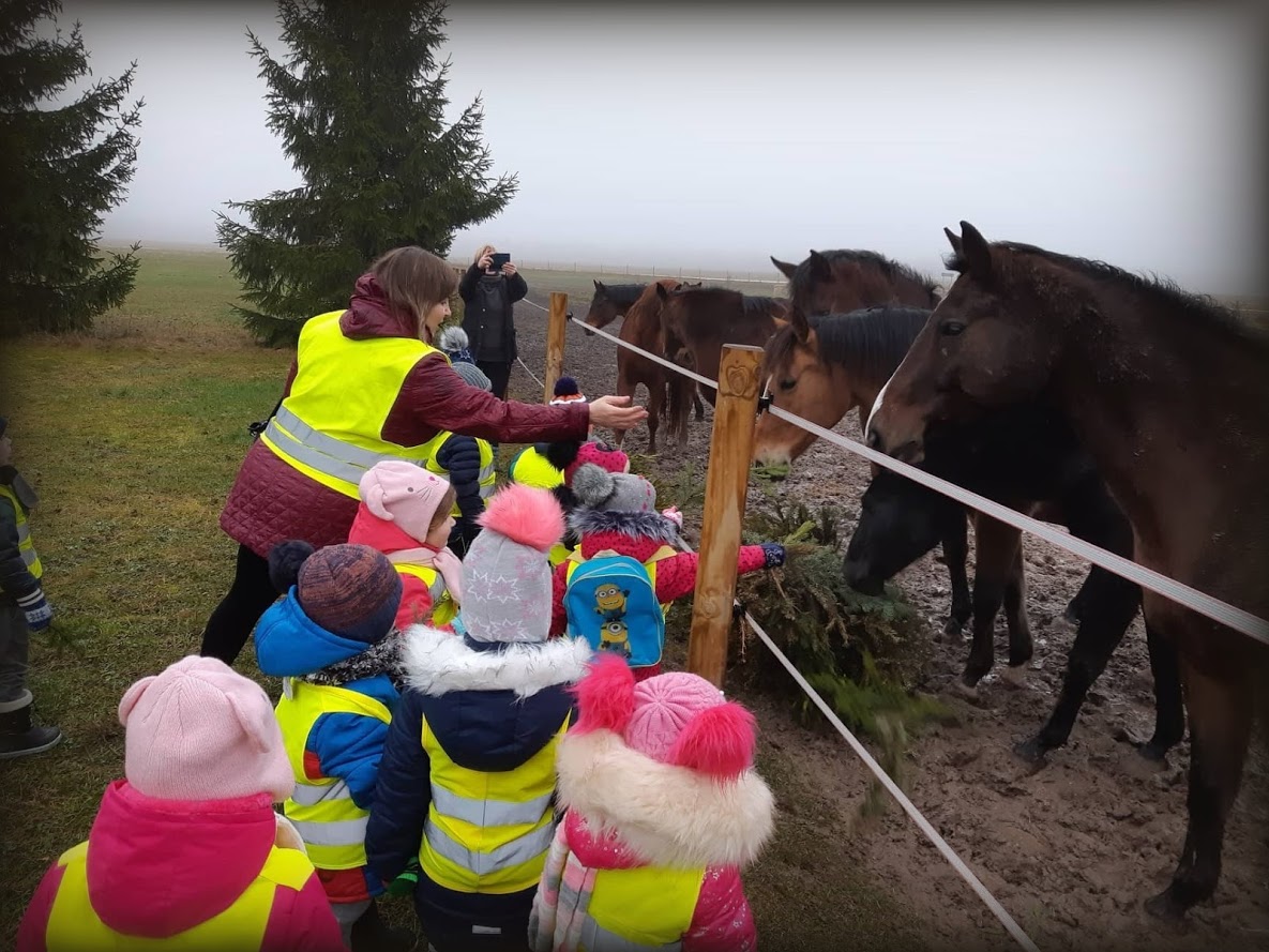 You are currently viewing Nupuoštos žaliaskarės – skanėstas žirgams
