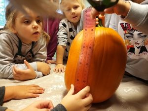 Read more about the article Kas užaugo mūsų darže