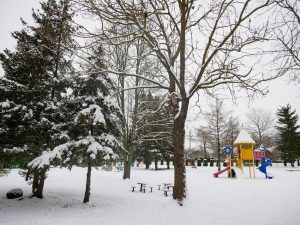 Read more about the article Linksmybės lauke