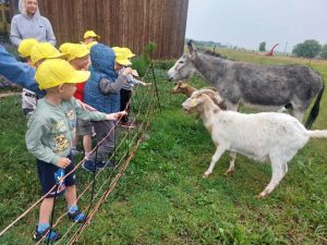 Read more about the article Išvyka į ekologinį ūkį