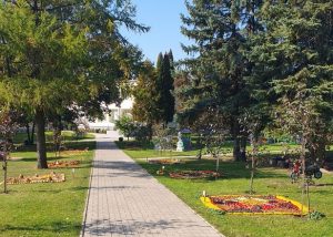 Read more about the article Šeduvos lopšelio-darželio bendruomenė papuošė edukacinę erdvę išradingai ir žaismingai sukurtais „Rudens kilimais“.