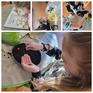 Read more about the article Tarptautinis projektas “Planting Our Future: A STEAM-Based Approach to Environmental Action”