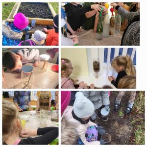 Read more about the article Tarptautinis projektas “Planting Our Future: A STEAM-Based Approach to Environmental Action” e’Twinning platformoje