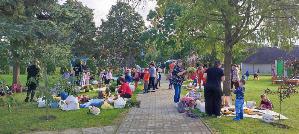 You are currently viewing Kūrybiniai darbai „Rudens gėrybių mozaikos“