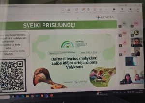 Read more about the article 